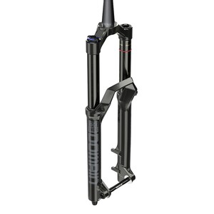 RockShox Domain RC Debonair 29" Suspension Fork - 160mm - 44mm Offset - Tapered - Maxle Stealth - 15x110mm Boost - Gloss Black